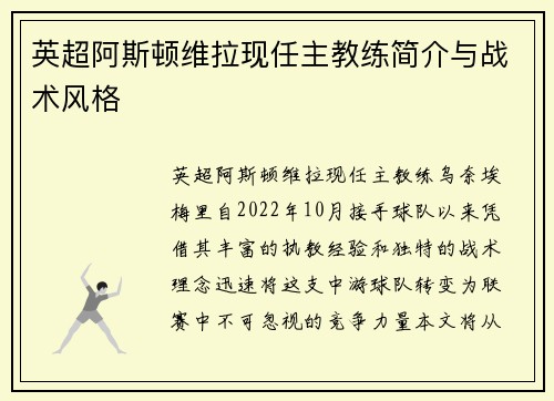 英超阿斯顿维拉现任主教练简介与战术风格